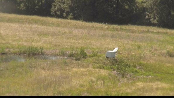 capture-13-22-06-21_16-11-21-33