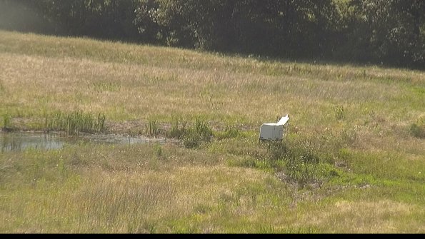 capture-13-22-06-21_17-13-44-31