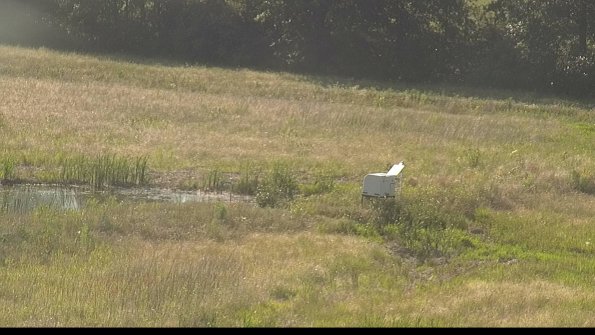 capture-13-22-06-21_18-16-08-19