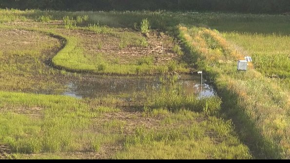 capture-14-22-06-21_07-52-41-44