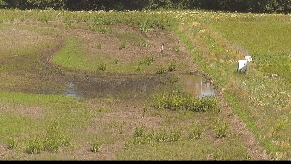 capture-14-22-06-21_12-02-16-38