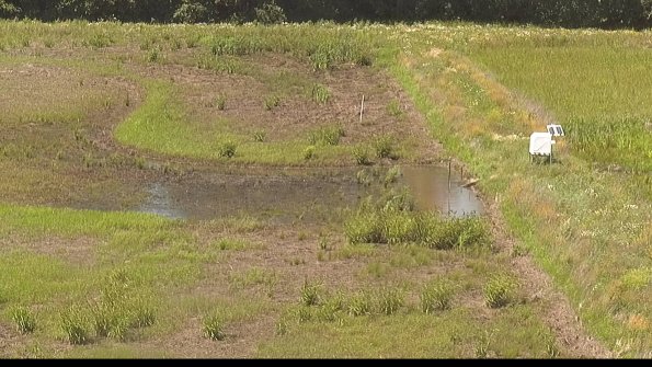 capture-14-22-06-21_15-09-26-67