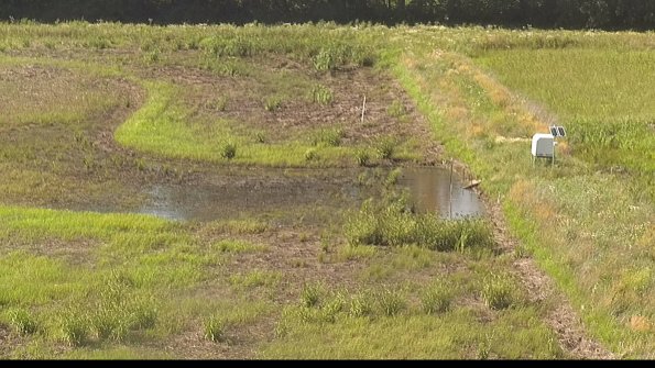 capture-14-22-06-21_17-14-13-47