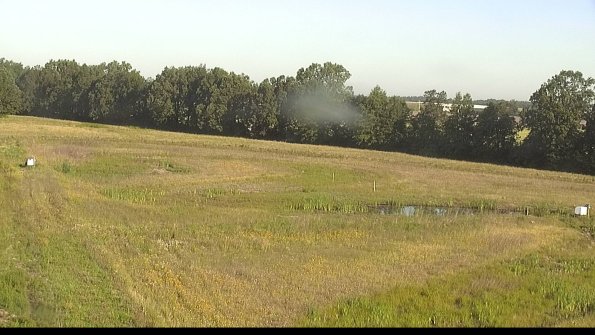 capture-4-22-06-21_07-51-59-30