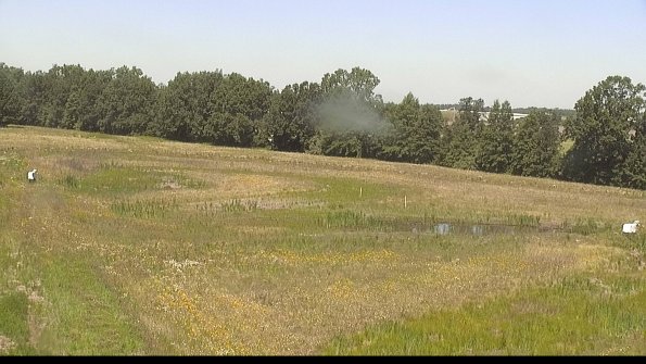 capture-4-22-06-21_12-01-35-20