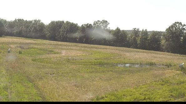 capture-4-22-06-21_17-13-30-40