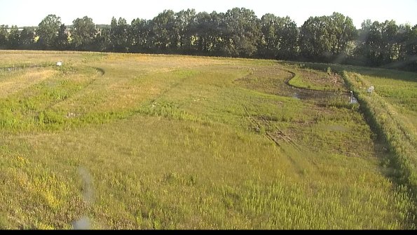 capture-6-22-06-21_07-52-27-59