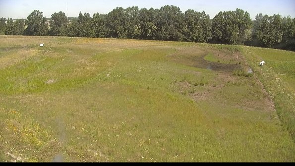 capture-6-22-06-21_10-59-39-51