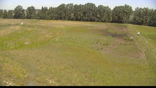 capture-6-22-06-21_12-02-02-50