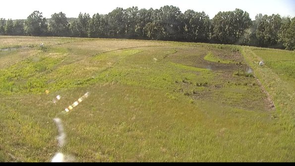 capture-6-22-06-21_17-13-59-43