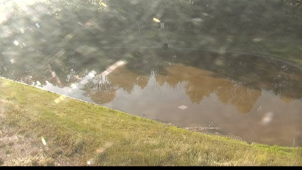 capture-8-22-06-21_07-51-16-06