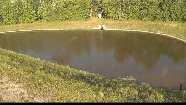 capture-8-22-06-21_19-17-34-12