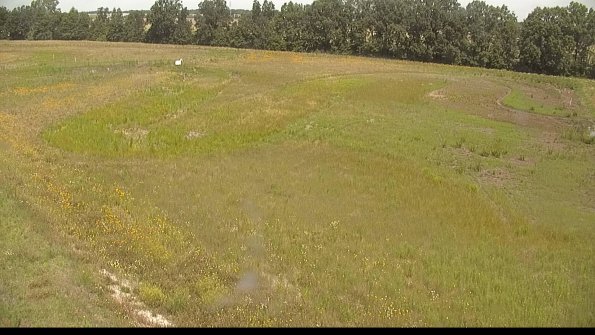 capture-1-22-06-25_11-43-05-27