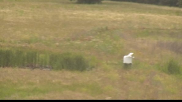 capture-12-22-06-25_16-53-23-39