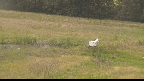 capture-13-22-06-25_17-56-15-35