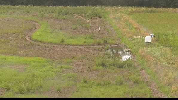 capture-14-22-06-25_17-56-43-34