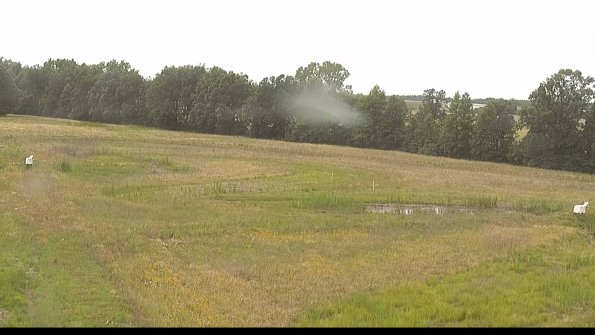 capture-4-22-06-25_16-53-38-17