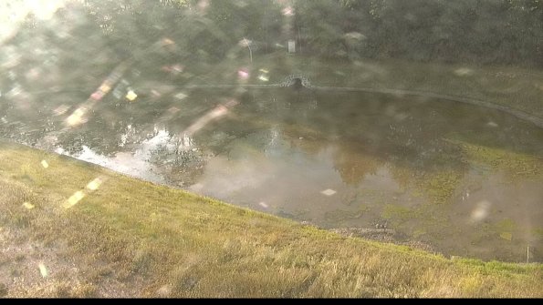 capture-8-22-06-25_07-31-20-00