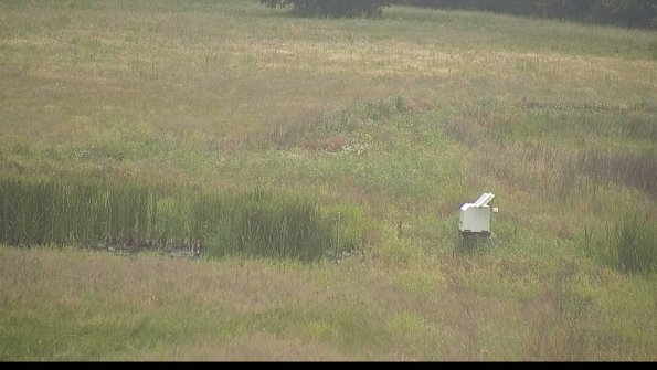 capture-12-22-06-26_07-26-51-16