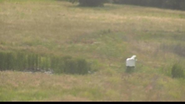 capture-12-22-06-26_17-50-45-30