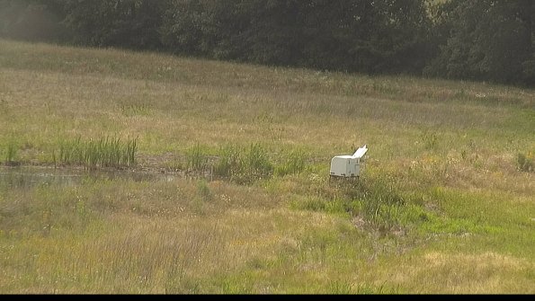 capture-13-22-06-26_16-48-50-27