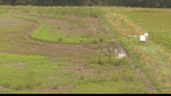 capture-14-22-06-26_10-34-58-31