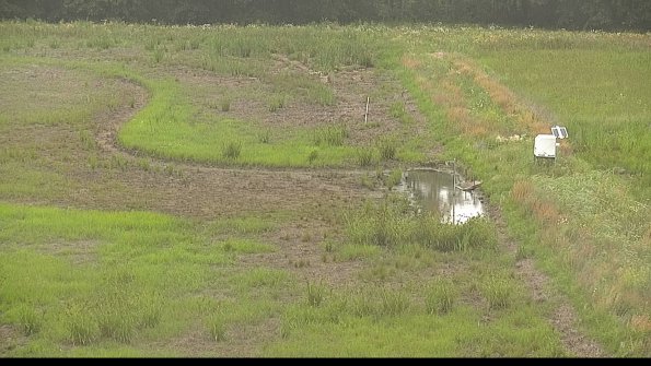 capture-14-22-06-26_12-39-45-33