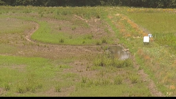 capture-14-22-06-26_13-42-08-29