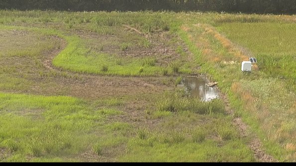 capture-14-22-06-26_17-51-41-36