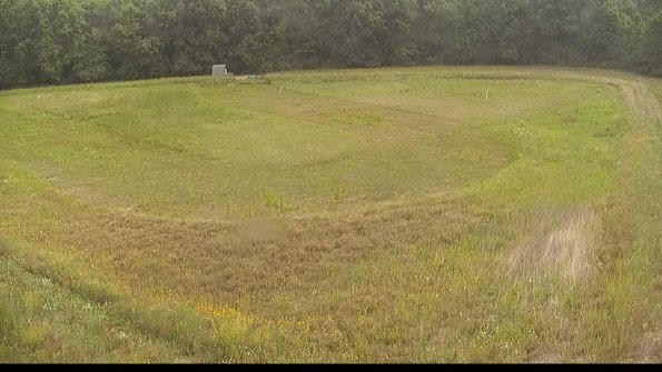 capture-15-22-06-26_10-35-12-39