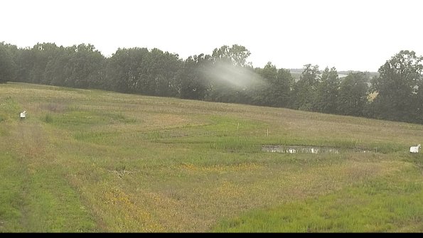 capture-4-22-06-26_08-29-29-21