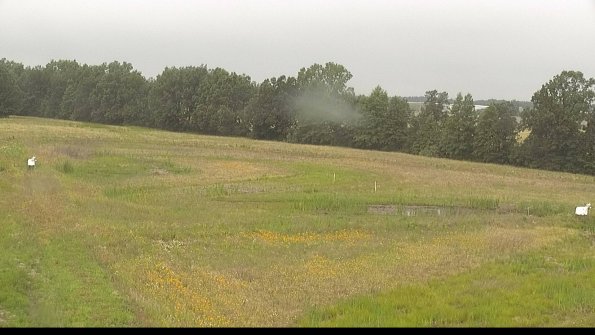 capture-4-22-06-26_09-31-53-20