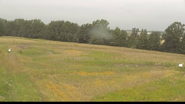 capture-4-22-06-26_10-34-15-33