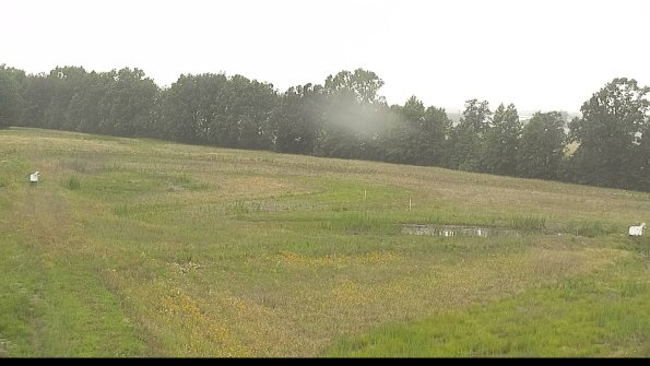 capture-4-22-06-26_12-39-04-25