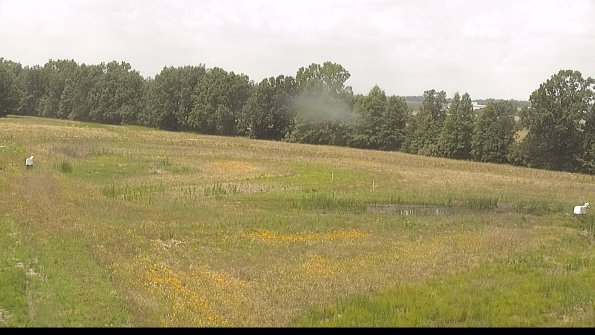 capture-4-22-06-26_13-41-27-22