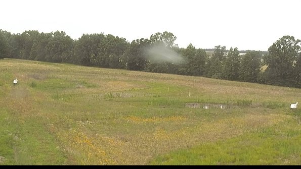 capture-4-22-06-26_14-43-49-27