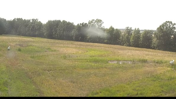 capture-4-22-06-26_16-48-37-13