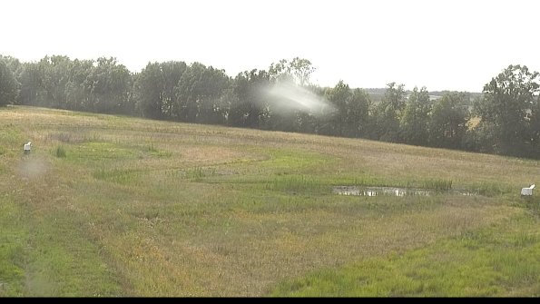 capture-4-22-06-26_17-51-00-18