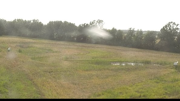 capture-4-22-06-26_18-53-23-18