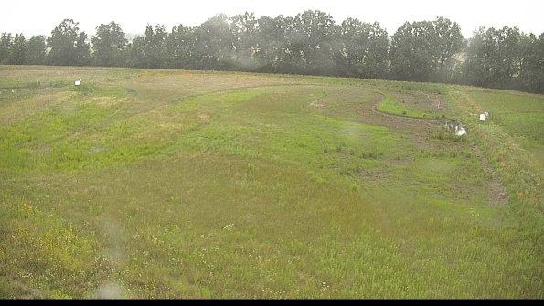 capture-6-22-06-26_12-39-31-41