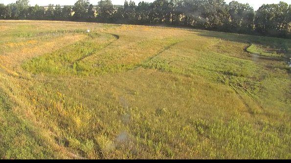 capture-1-22-06-27_07-23-30-31