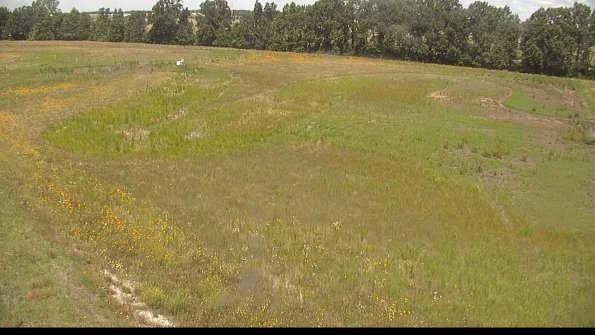 capture-1-22-06-27_12-35-26-35