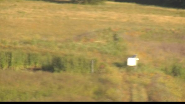 capture-12-22-06-27_07-21-52-41