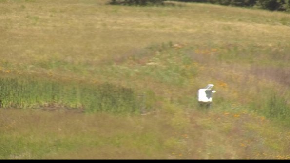 capture-12-22-06-27_10-29-01-46