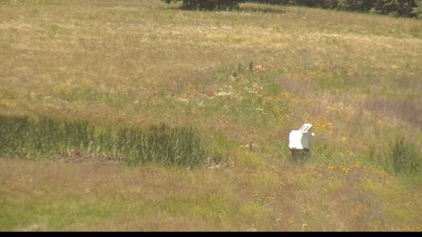 capture-12-22-06-27_12-33-48-41