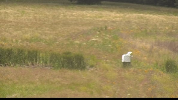 capture-12-22-06-27_13-36-11-41