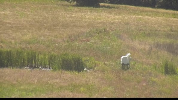 capture-12-22-06-27_16-43-21-39