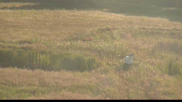 capture-12-22-06-27_19-50-33-40