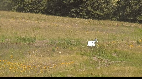 capture-13-22-06-27_11-31-53-42