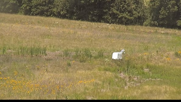 capture-13-22-06-27_12-34-16-44